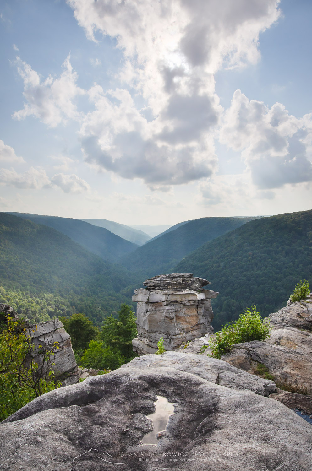 Puffy cumulus clouds over Lindy Point Overlook. Blackwater Falls State Park, West Virginia #63369
