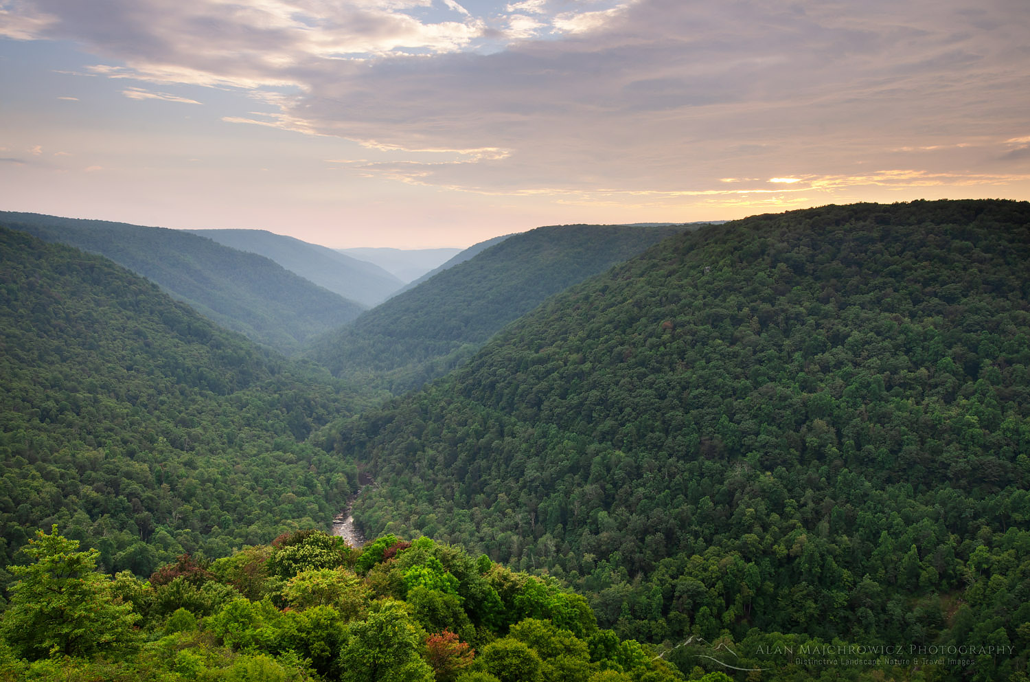 Blackwarter River Valley seen from Lindy Point Overlook. Blackwater falls State Park West Virginia #63412