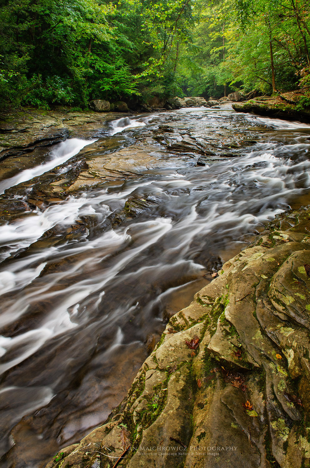 Meadow Run, Ohiopyle State Park, Pennsylvania #63538