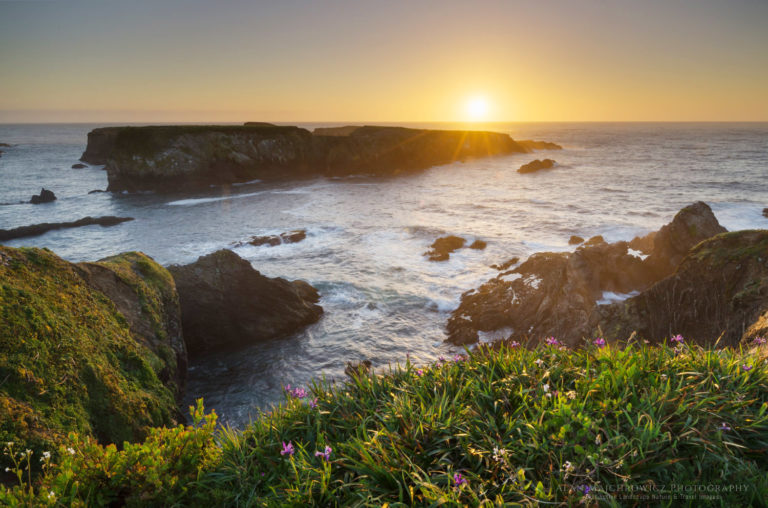 Mendocino Headlands: Where Coastal Beauty Meets Wild Wonder