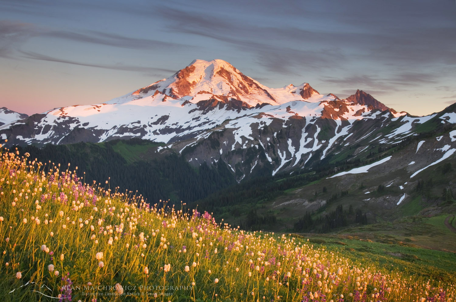 Mount Baker seen from wildflowers meadows on Skyline Divide, Mount Baker Wilderness North Cascades Washington #54243