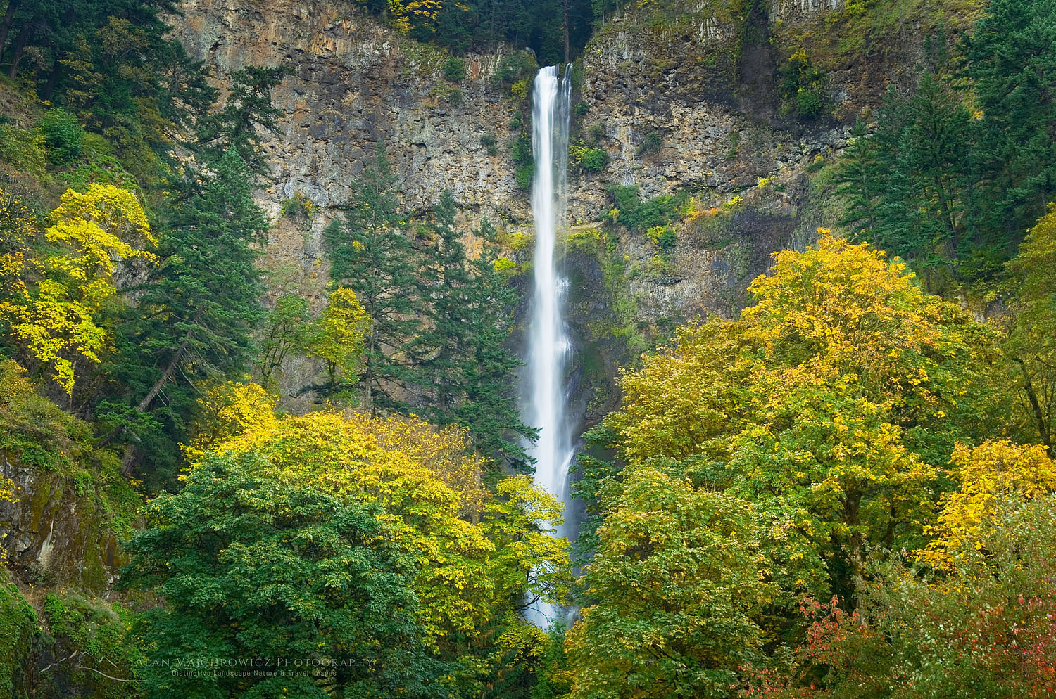 Multnomah Falls, one of the most well known scenic attractions in Oregon and the Pacific Northwest, Columbia River Gorge National Scenic Area Oregon #46808