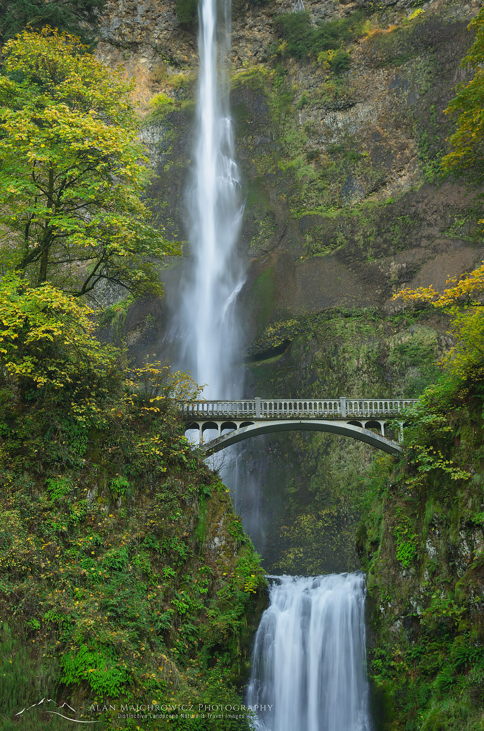 Multnomah Falls, one of the most well known scenic attractions in Oregon and the Pacific Northwest, Columbia River Gorge National Scenic Area Oregon #46813