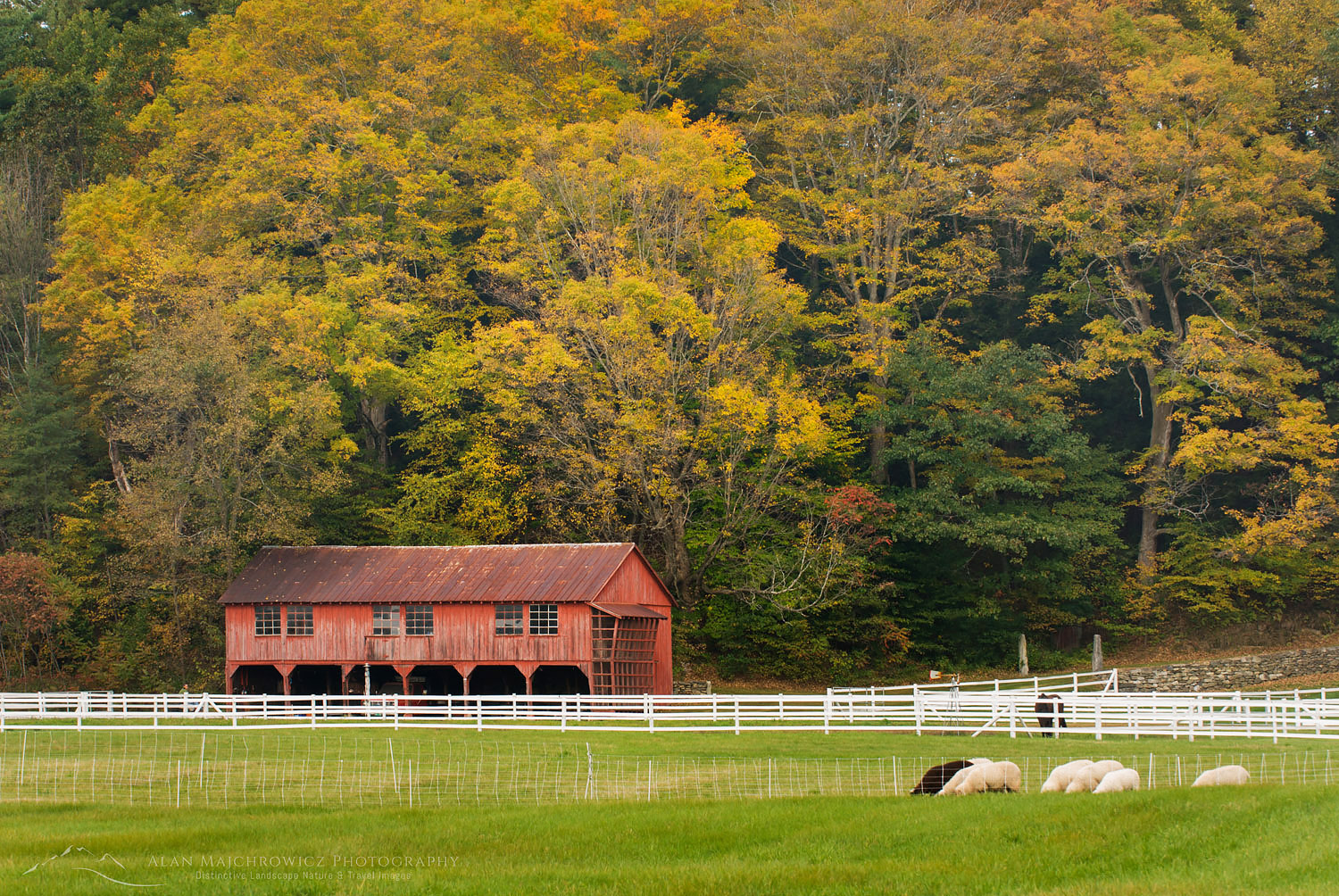 Farm near Newfane Vermont #7691