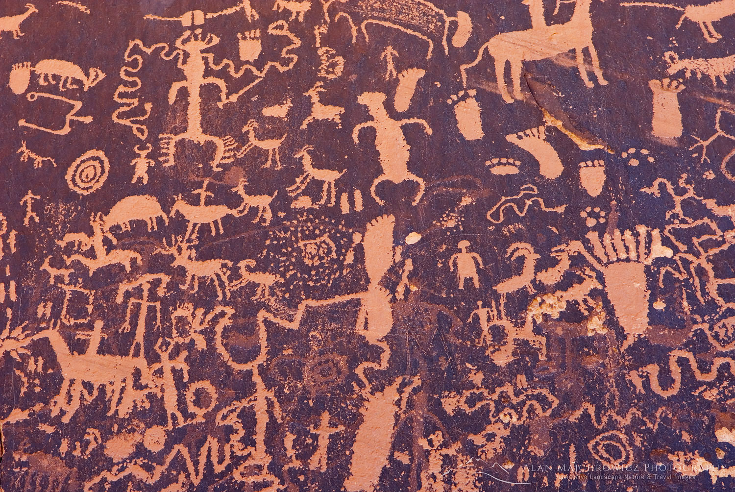 Ancient native American Petroglyphs of Newspaper Rock State Historic Monument Utah #28175