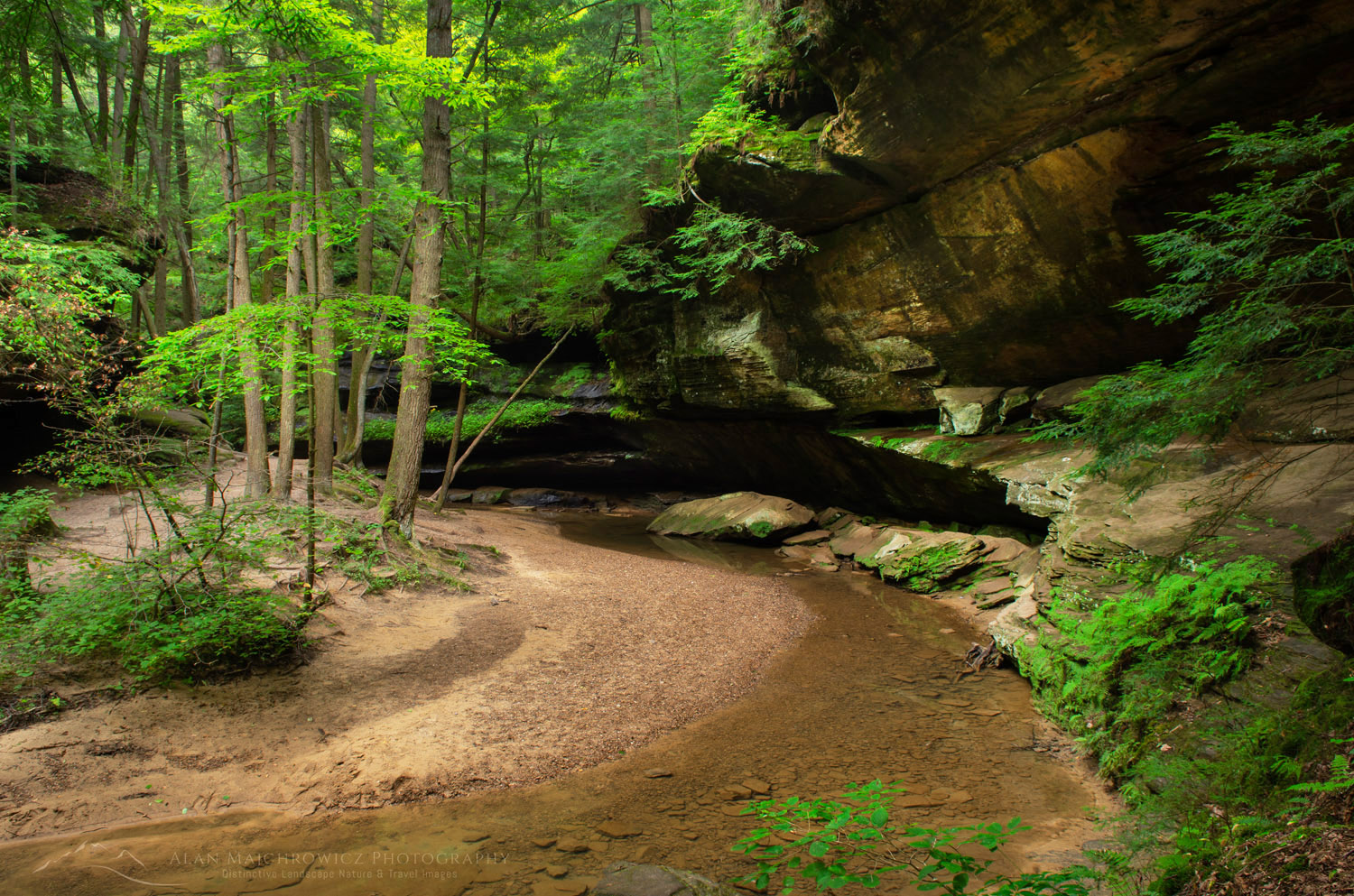 Sandstone overhangs in Old Man's Cave Gorge. Hocking Hills State Park Ohio #63241
