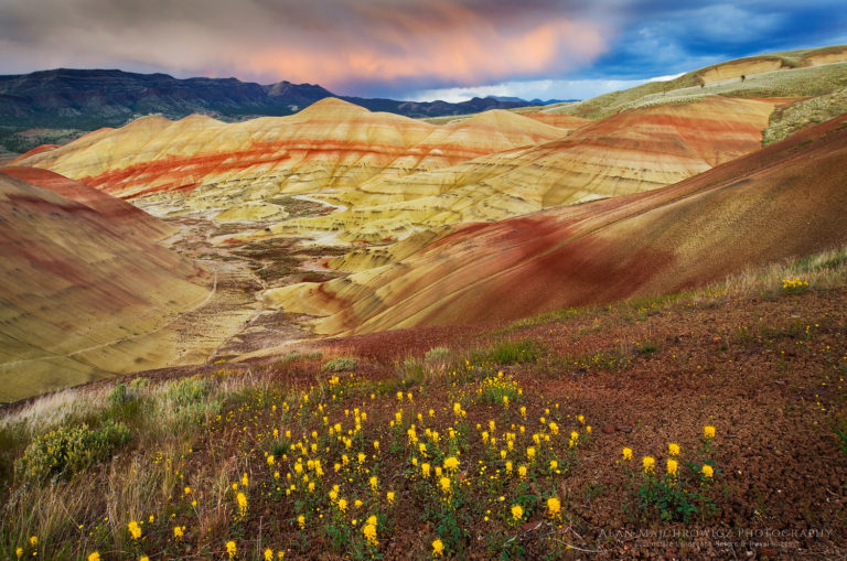 Painted Hills Oregon Alan Majchrowicz Photography