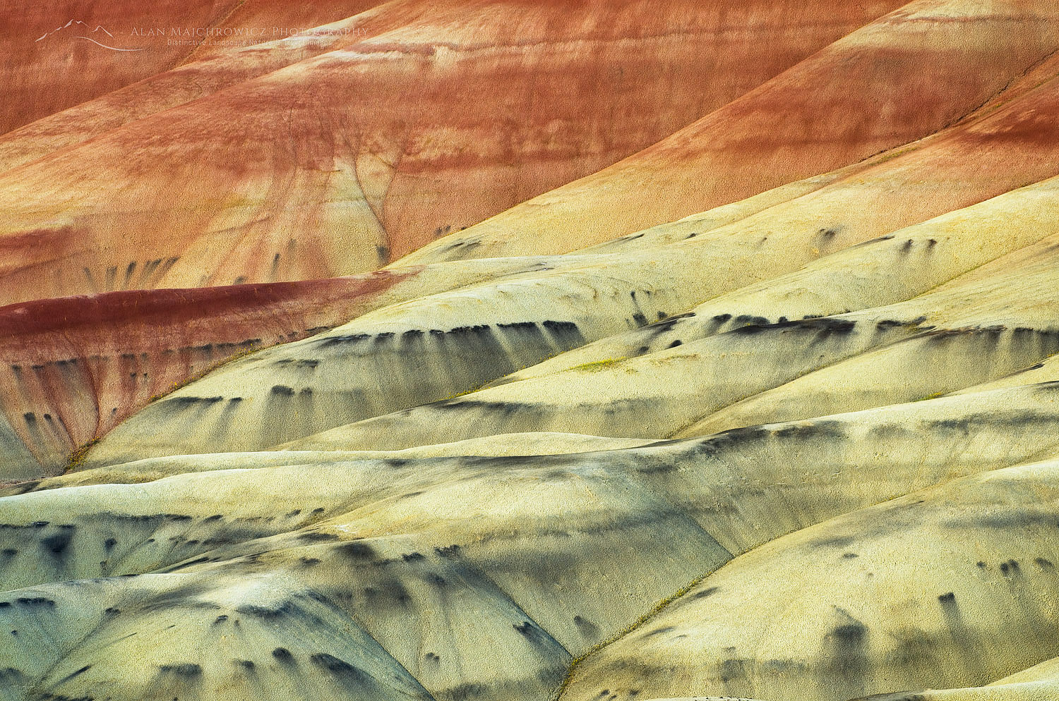 Colorful layers and streaks of minerals, Painted Hill Unit of John Day Fossil Beds National Monument Oregon #44754