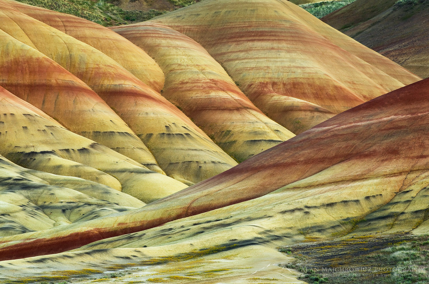 Colorful layers and streaks of minerals, Painted Hill Unit of John Day Fossil Beds National Monument Oregon #44760