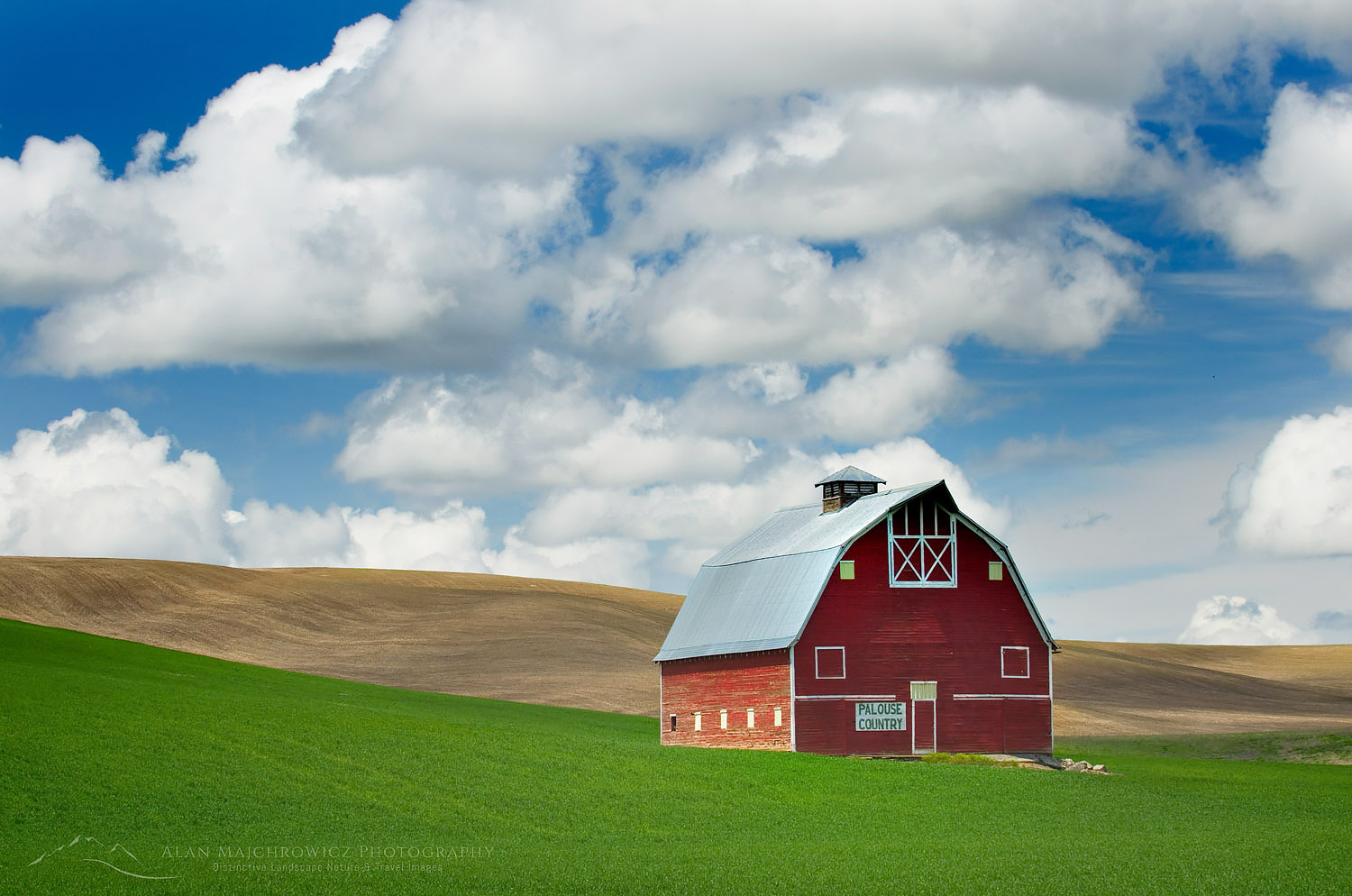Classic red barn amidst green fields of wheat in the Plause region of Washington State #45040