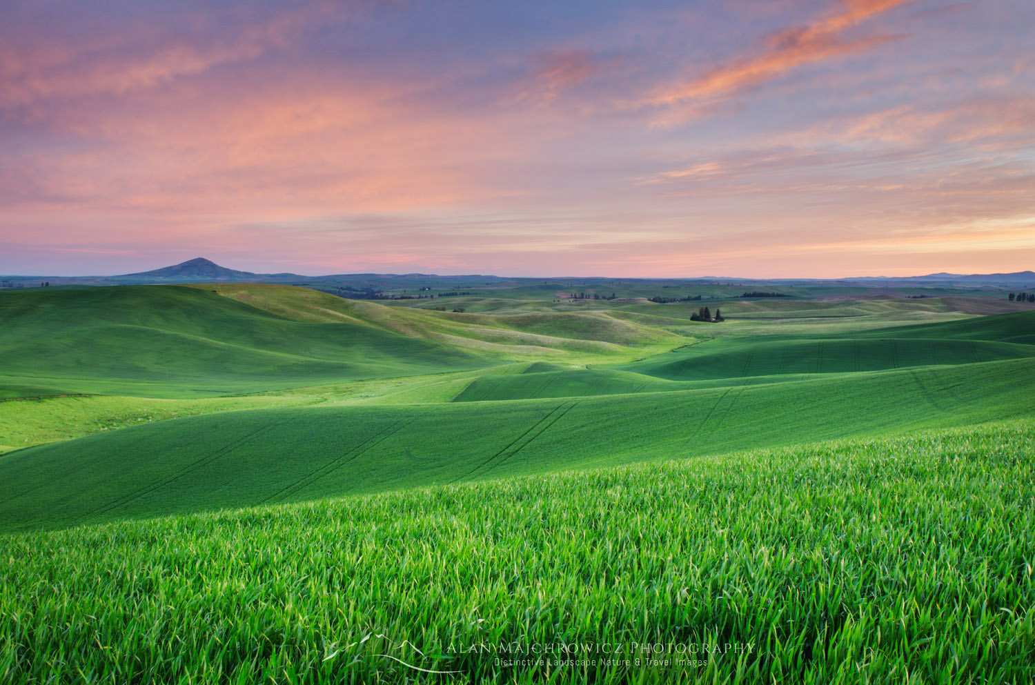 Wheatfields in the Palouse region of the Inland Empire of Washington #51565