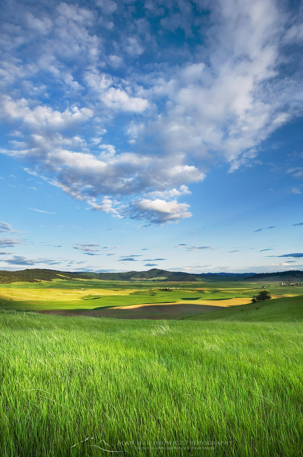 Clearing storm clouds in evening over a grassy meadow in the Palouse region of the Inland Empire of Washington #51742