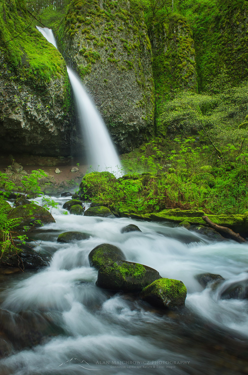 Ponytail Falls, Columbia River Gorge National Scenic Area, Oregon #47683