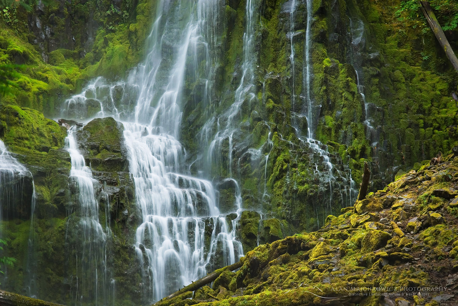 Proxy Falls near McKenzie Pass in the Three Sisters Wilderness, Oregon #42303