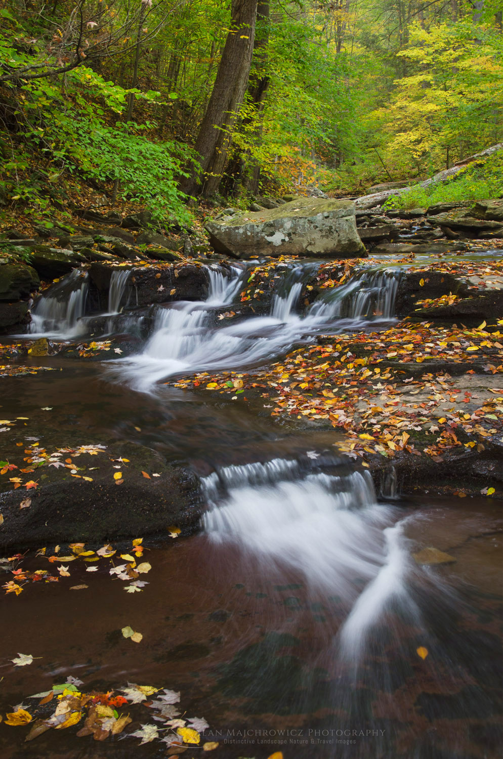 Cascades of Kitchen Creek in Glen Leigh, Ricketts Glen State Park, Pennsylvania #59591