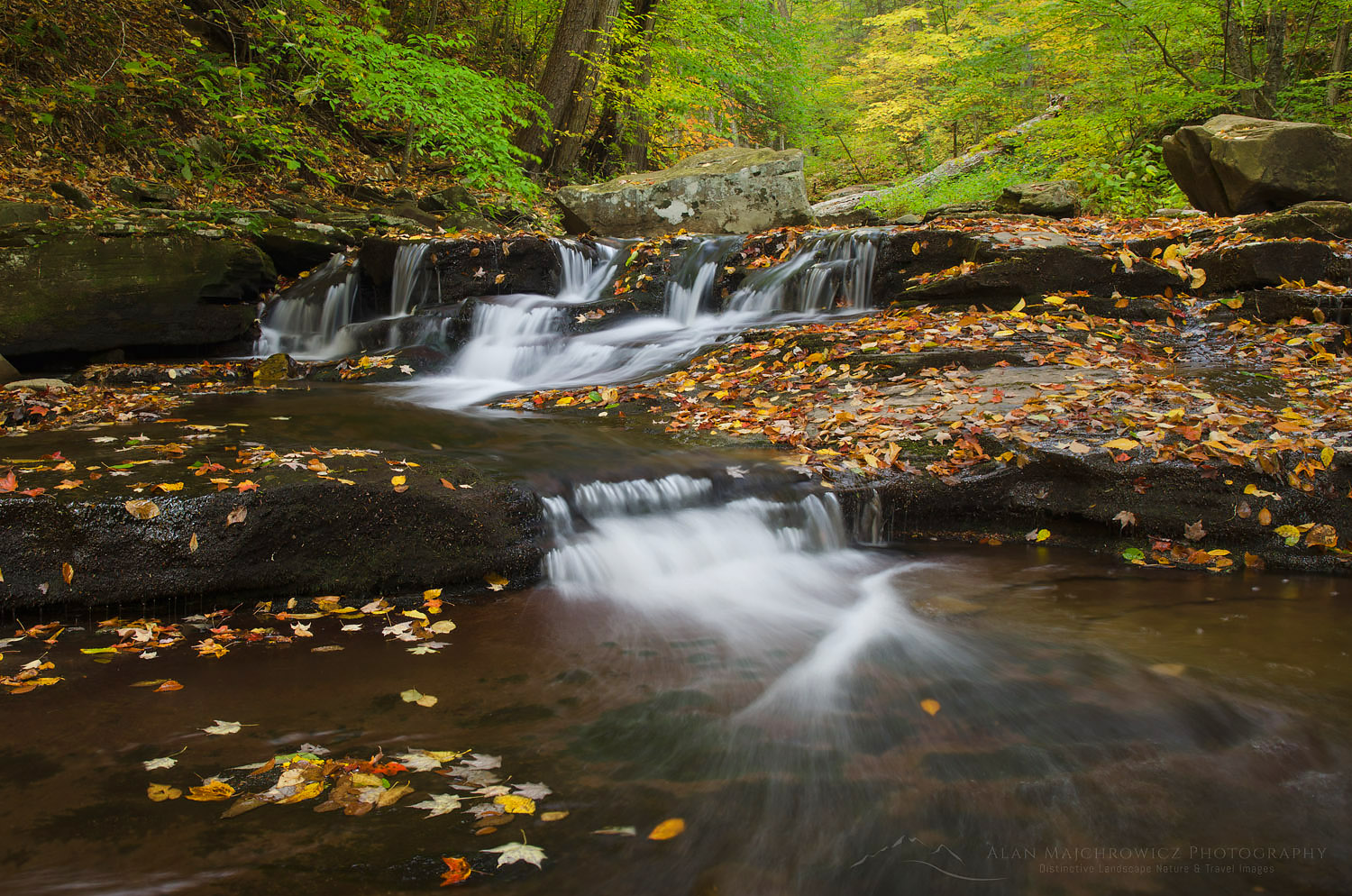 Cascades of Kitchen Creek in Glen Leigh, Ricketts Glen State Park, Pennsylvania #59594