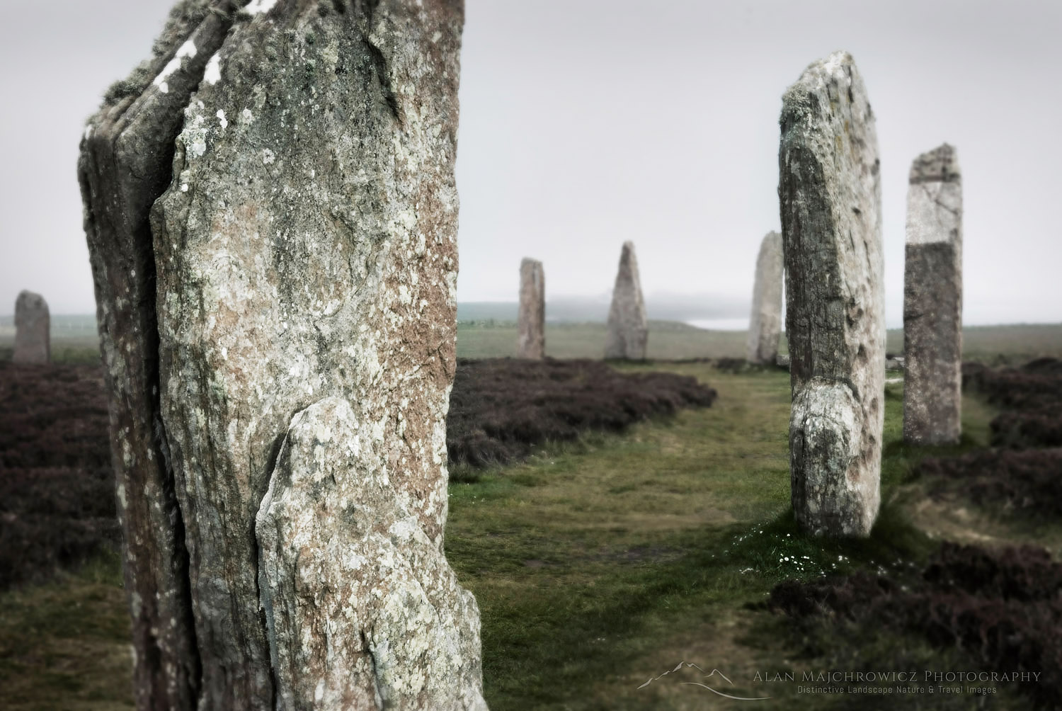 Standing stones of the Ring o' Brodgar a neolithic stone circle dating from approximately 2500 BC, Orkney Islands Scotland #12527r