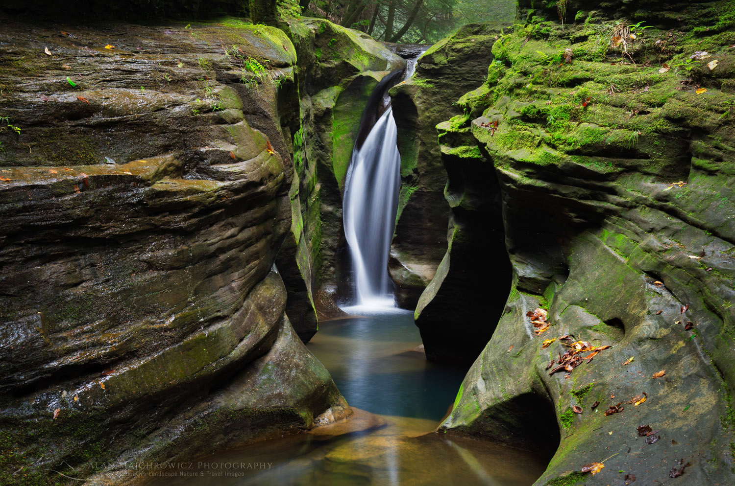 Robinson Falls, also known as Corkscrew Falls, carves through a small gorge of Black Hand Sandstone. Boch Hollow State Nature Preserve. Hocking Hills Ohio #63308