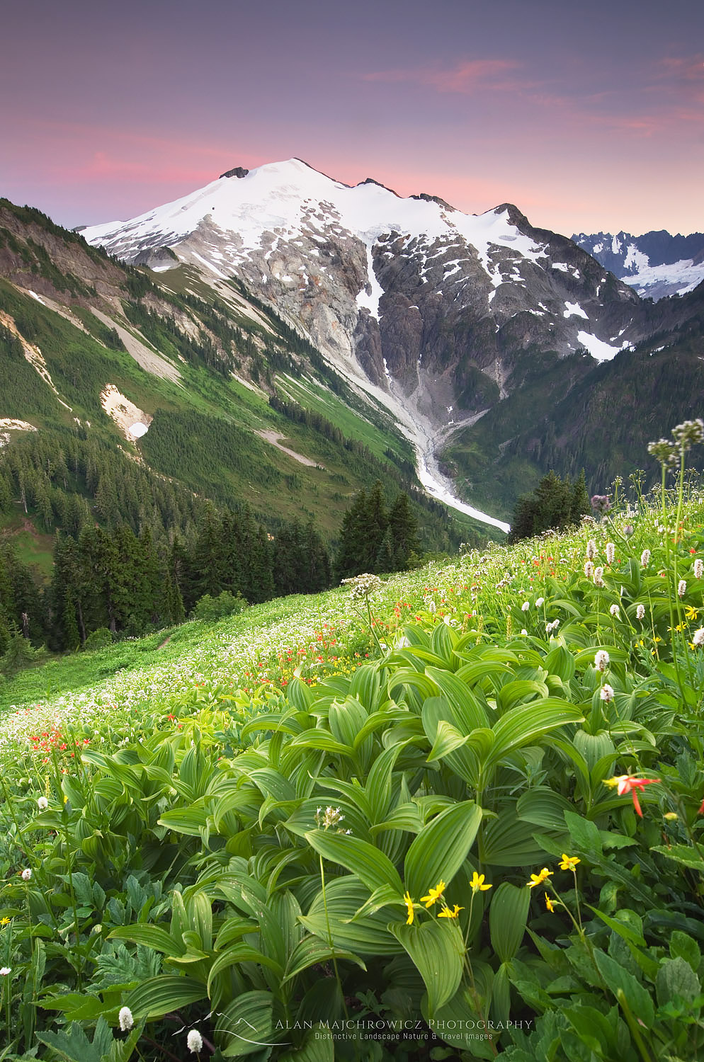 Ruth Mountain seen from wildflower meadows of Hennegan Peak, Mount Baker Wilderness North Cascades Washington #54365