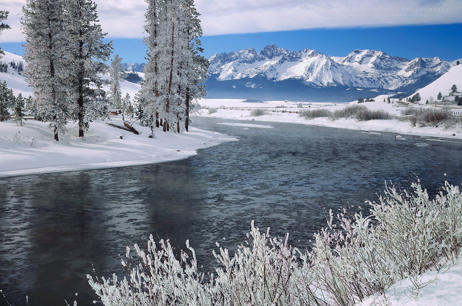 Frosted trees along the Salmon River in the Sawtooth Mountains Idaho #6223