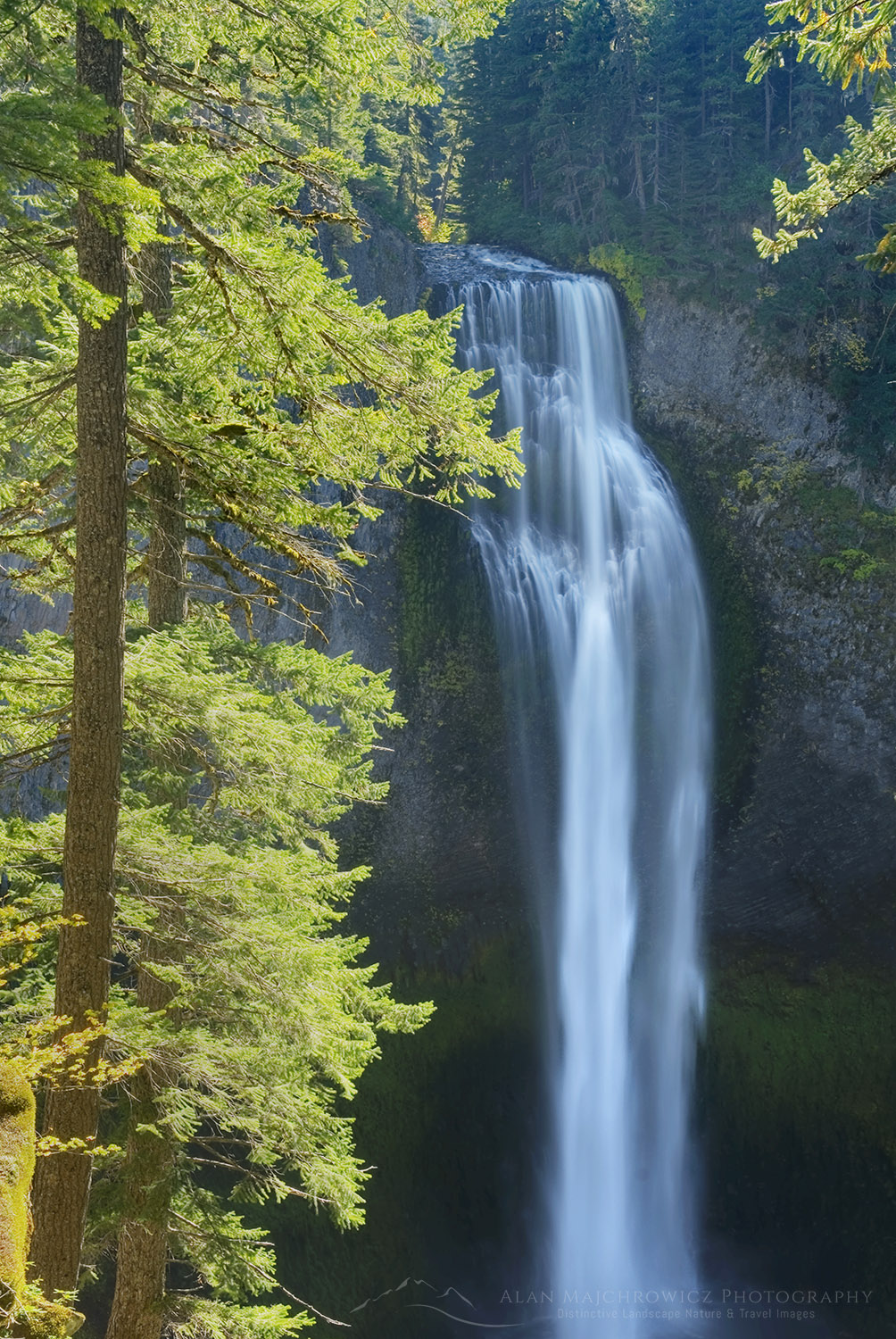 Salt Creek Falls, Willamette National Forest Oregon #42929