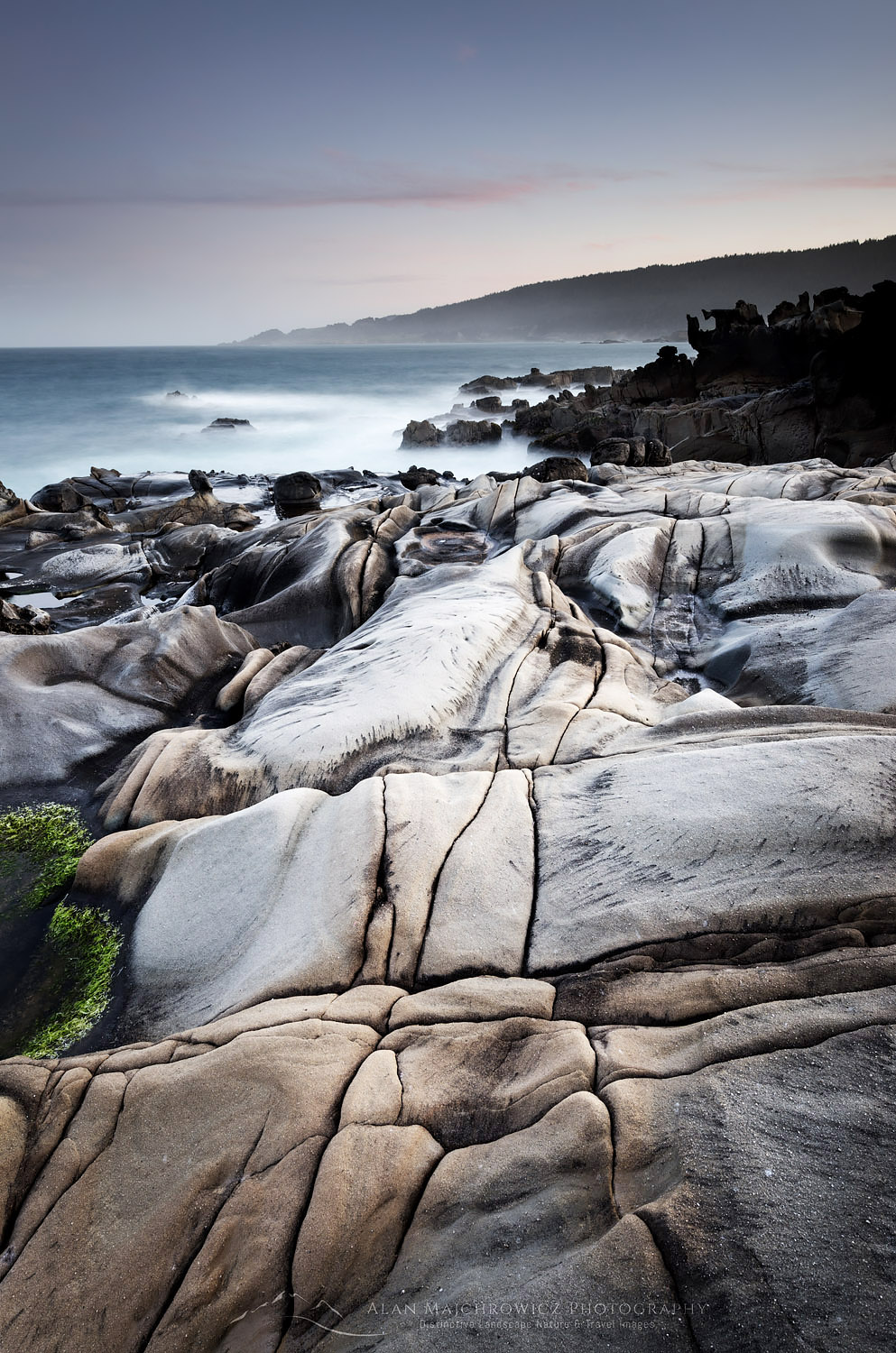 Eroded sandstone and Tafoni formations, Sonoma Coast, Salt Point State Park California #60527r
