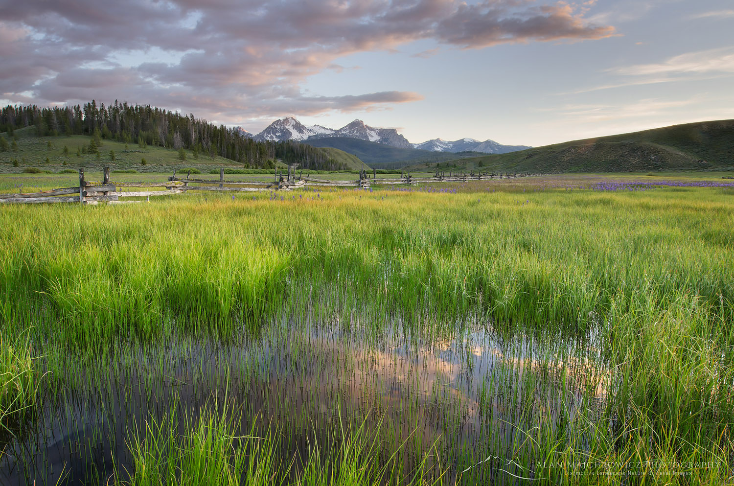 Wetlands in Stanley Basin, Sawtooth Mountains Idaho #56063