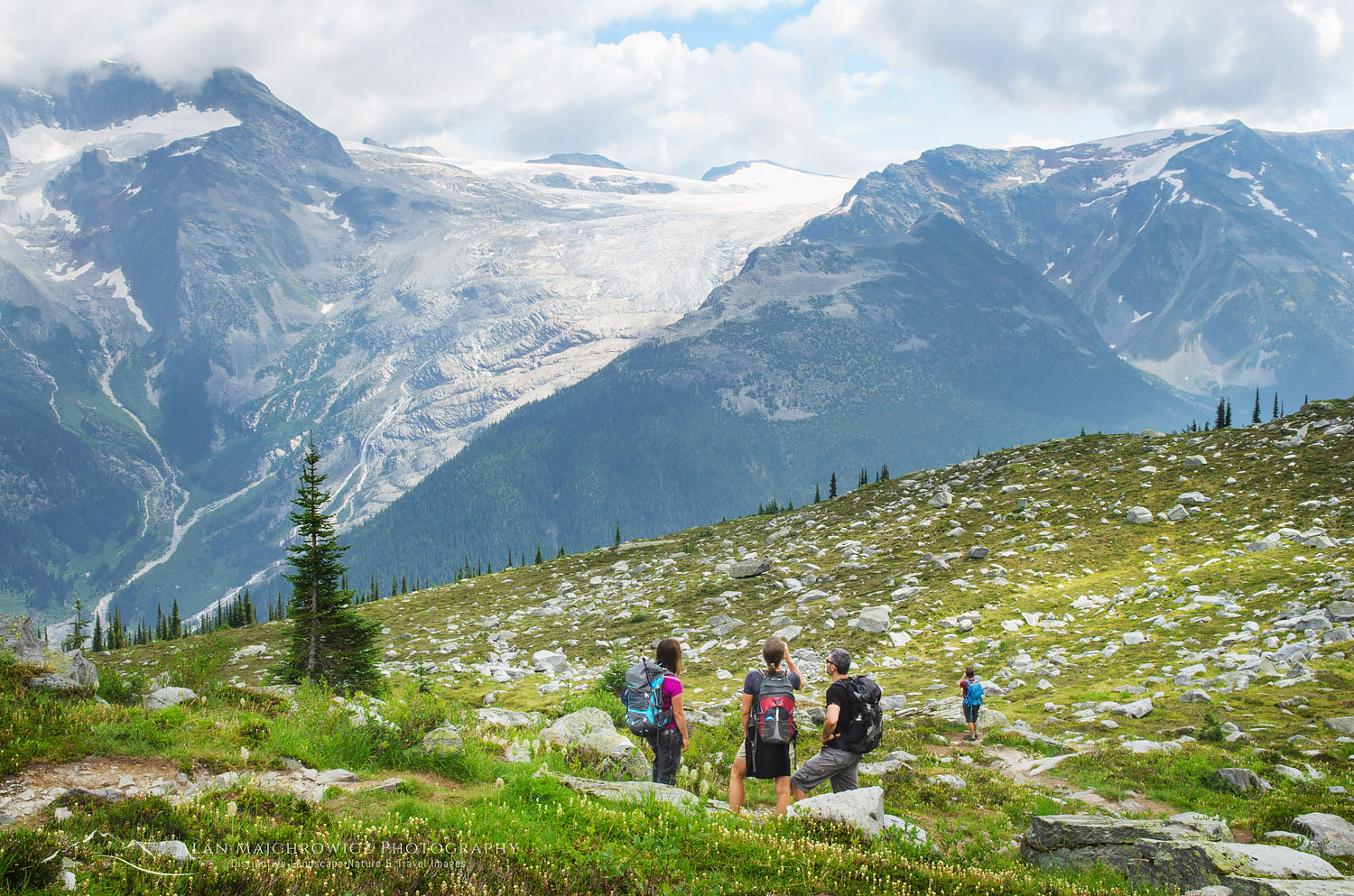 Hikers on Abbott Ridge Trail, Illecillewaet Glacier is in the distance. Selkirk Mountains Glacier National Park British Columbia #62824