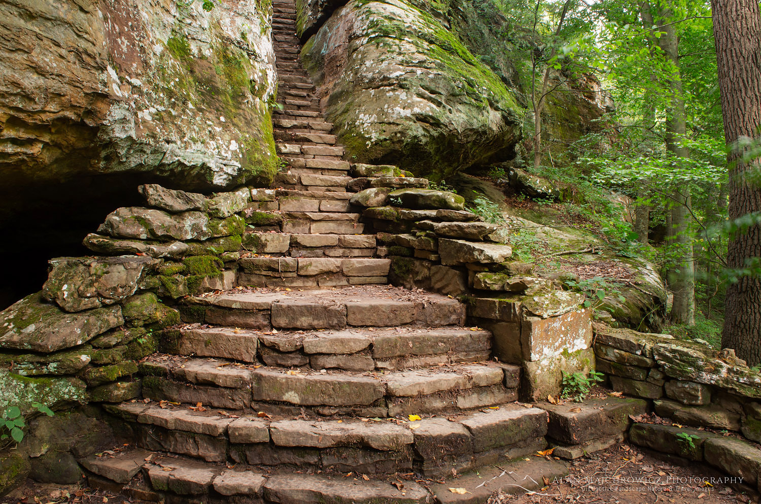 Stone stairway in cleft of cliff. Bell Smith Springs, Shawnee National Forest Illinois #63113