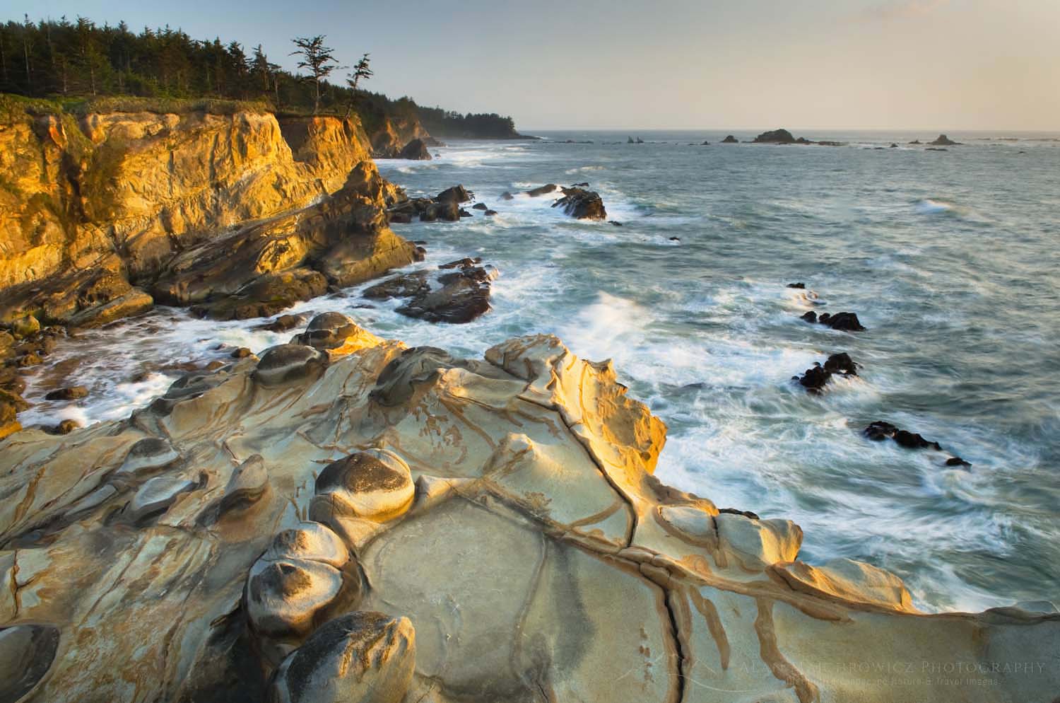 Shore Acres State Park Oregon - Alan Majchrowicz Photography