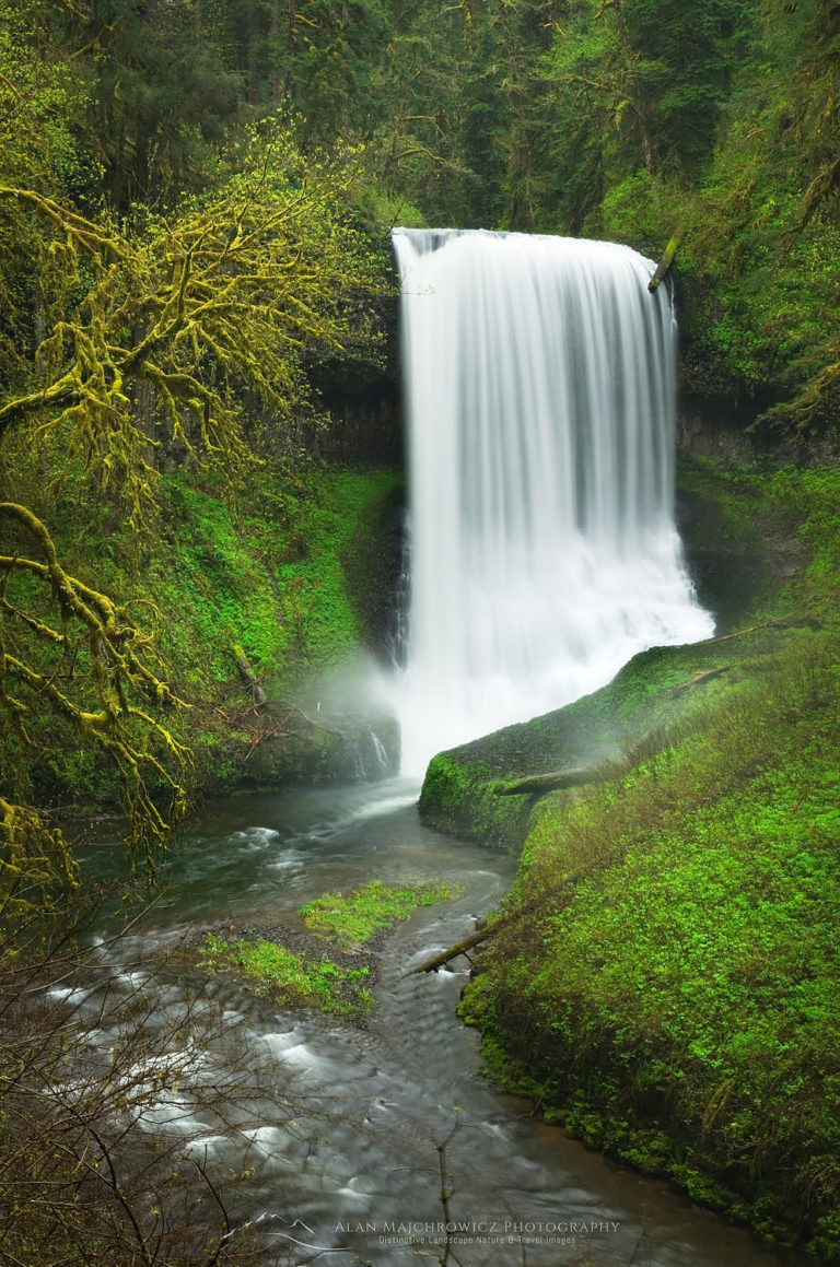 Middle North Falls, Silver Falls State Park, Oregon - Alan Majchrowicz