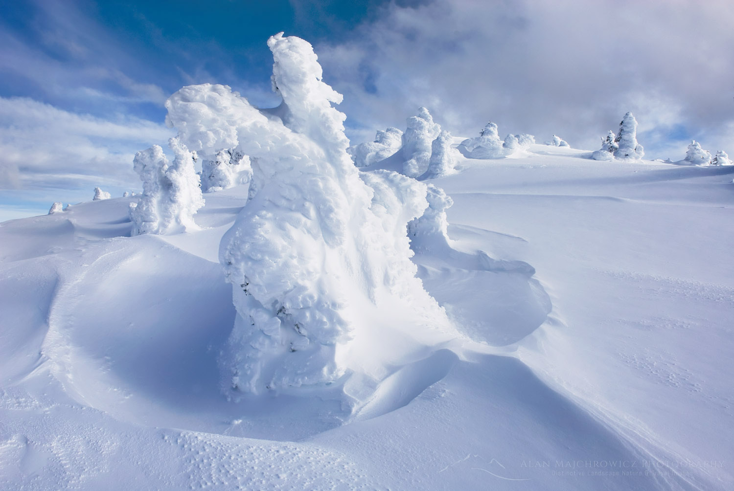 Ice encased trees or Krummholz on the summit of Big Buck Mountain, Manning Provincial Park British Columbia Canada #33243