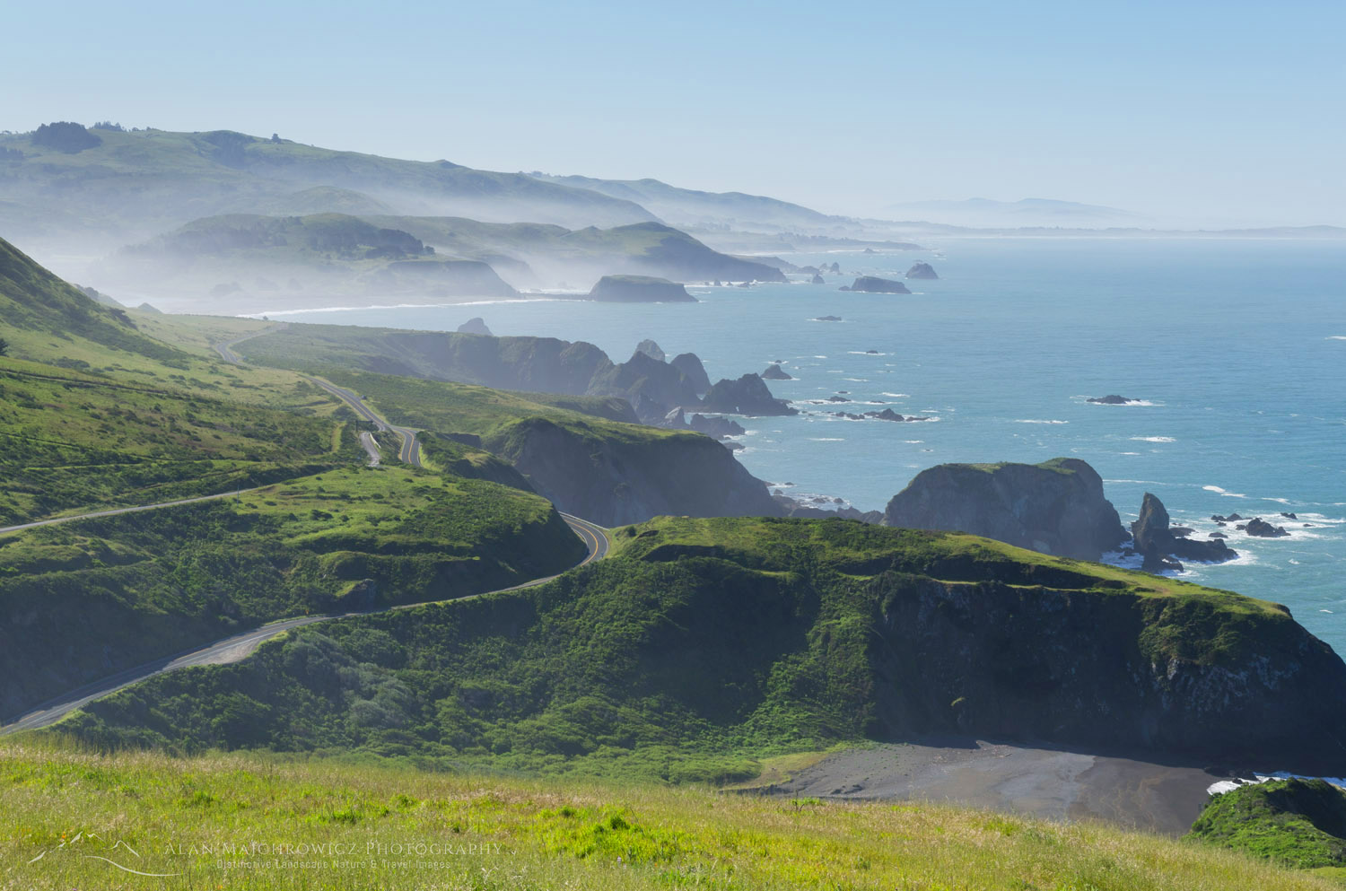 View of California Highway 1 along the Sonoma Coast #60421