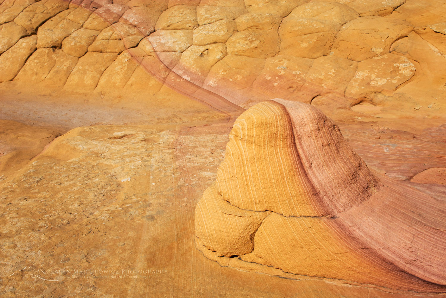 Unusual layering pattern, South Coyote Buttes, Vermilion Cliffs Wilderness Arizona #37442