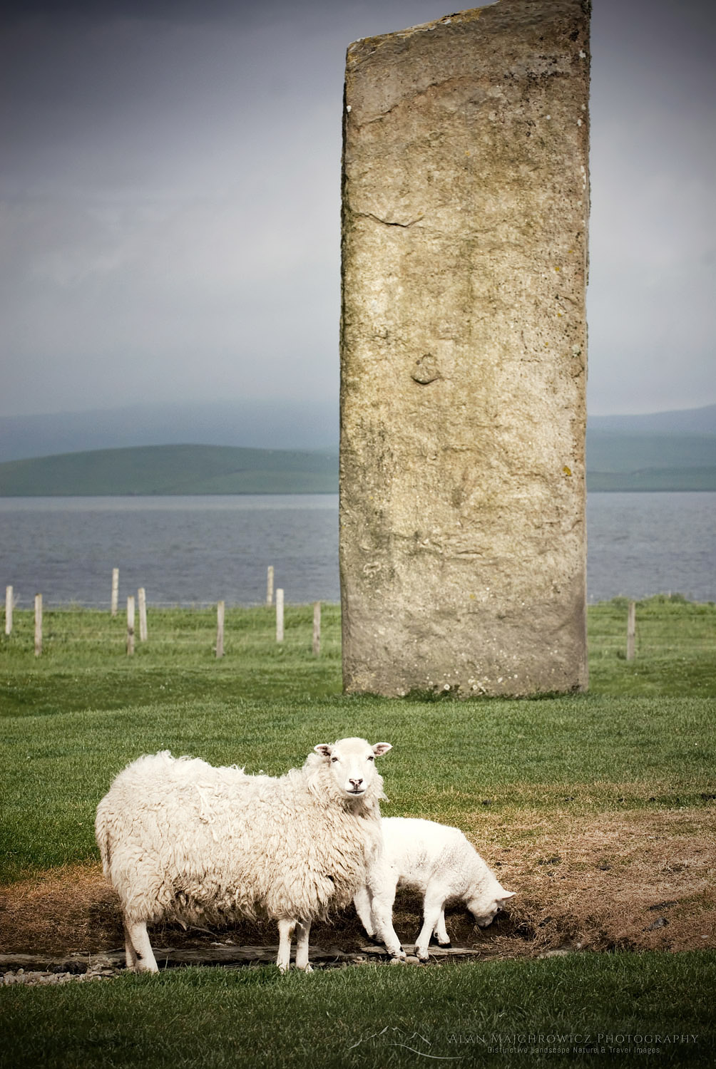 Standing Stones of Stenness, a Neolithic stone circle dating from 3100BC, Orkney Islands Scotland #12613r