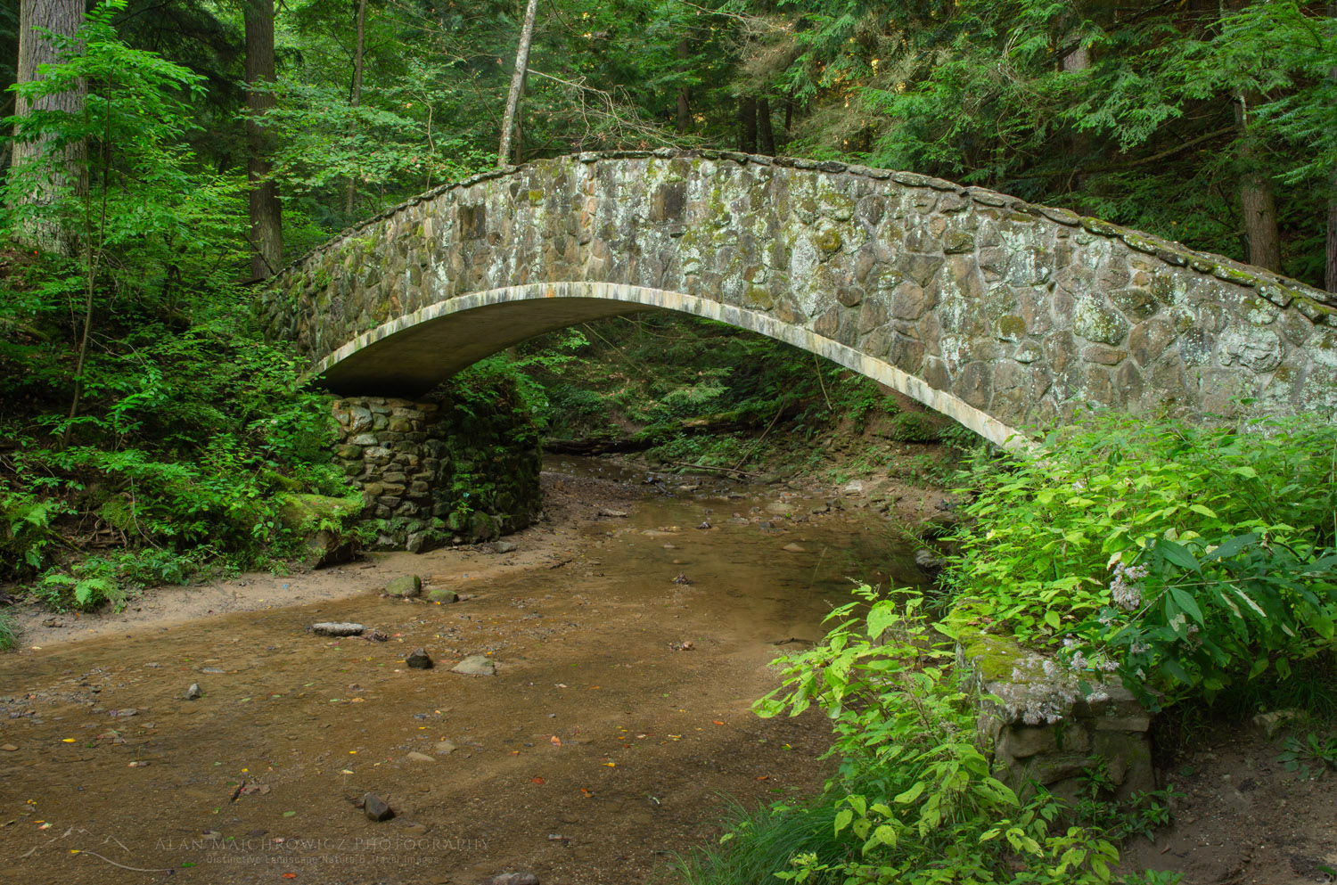 Stone foot bridge in Old Man's Cave Gorge, Hocking Hills State Park Ohio #63197