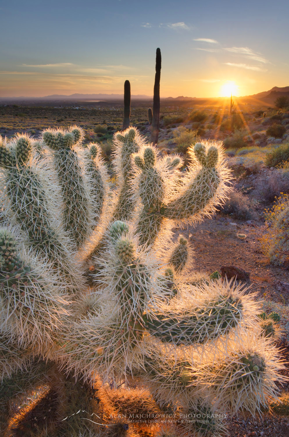 Superstition Mountains sunset, Arizona - Alan Majchrowicz Photography