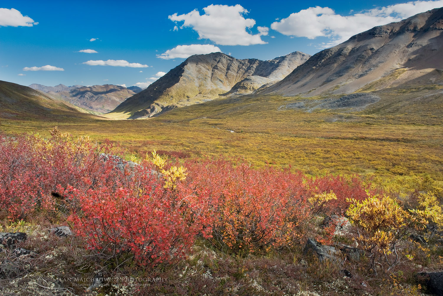 Autumn colors in the tundra of Grizzly Creek Valley, Tombstone Territorial Park Yukon Canada #15129