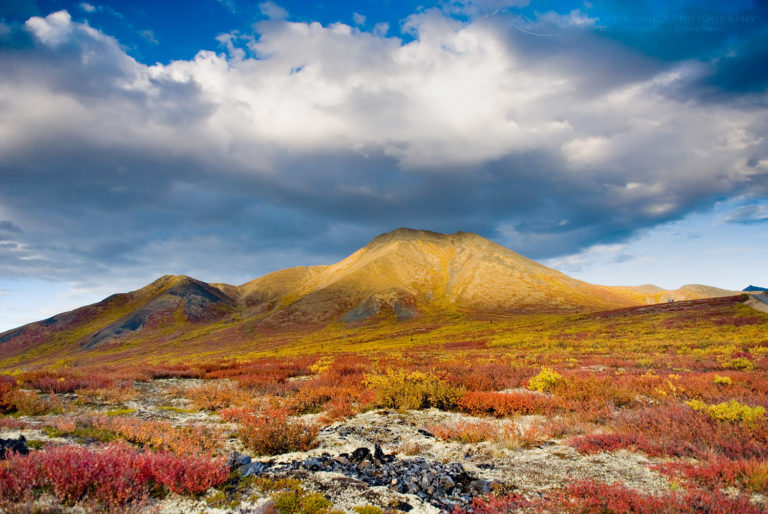Ogilvie Mountains, Tombstone Territorial Park Yukon Alan Majchrowicz