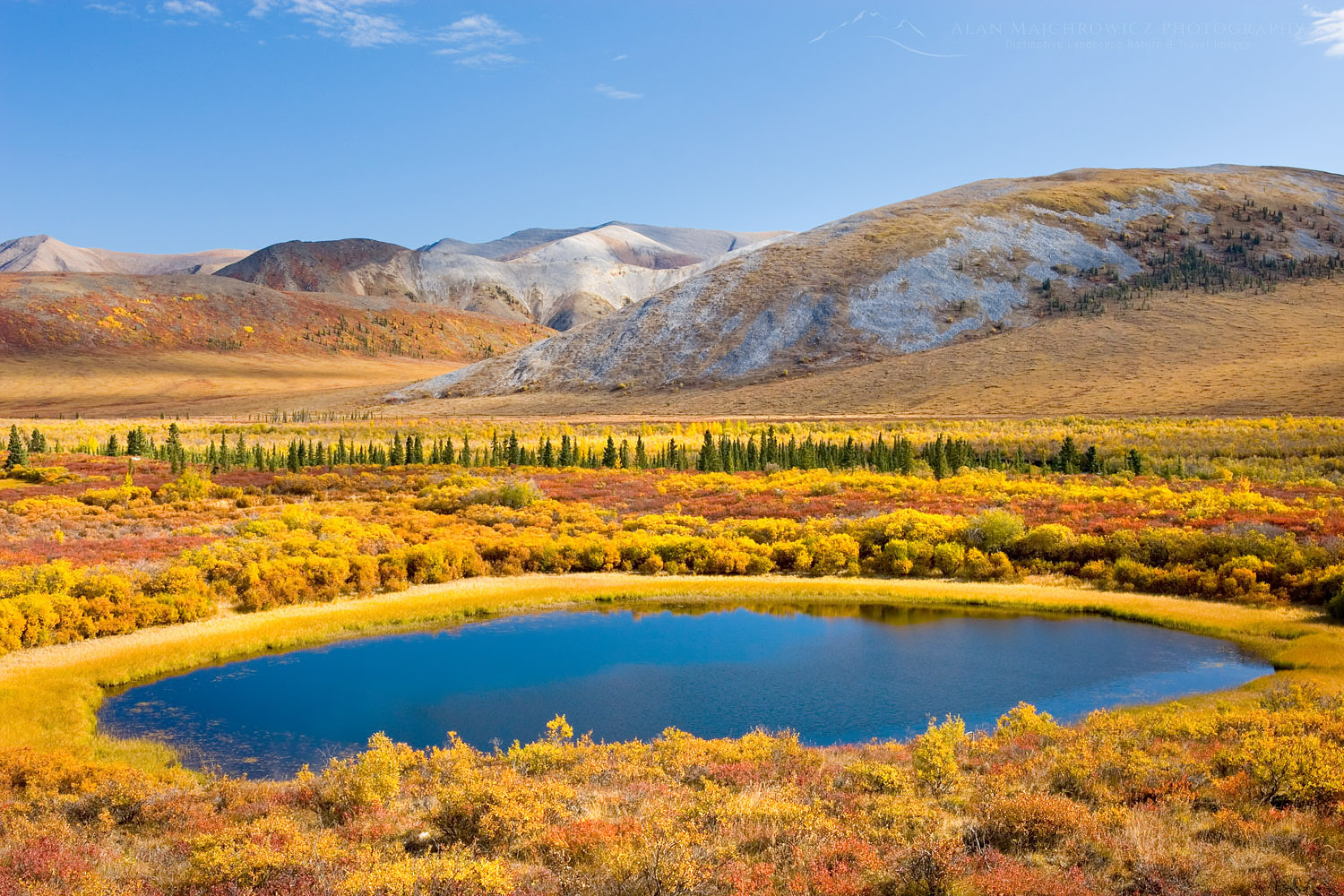Small pond in the colorful autumn tundra of the Blackstone Plateau, Tombstone Territorial Park Yukon #15418