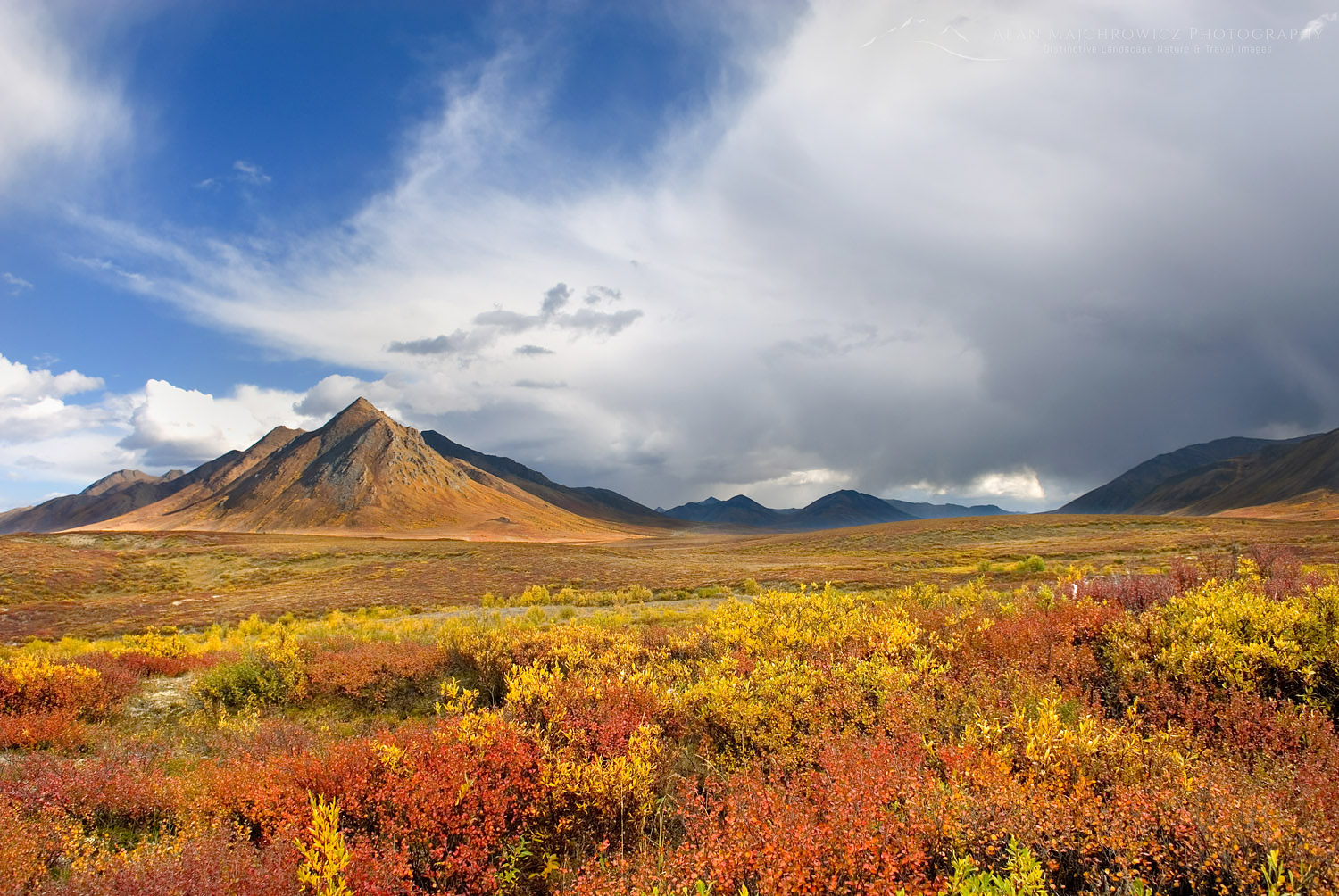 Ogilvie Mountains in autumn color, Tombstone territorial Park Yukon Canada #15471