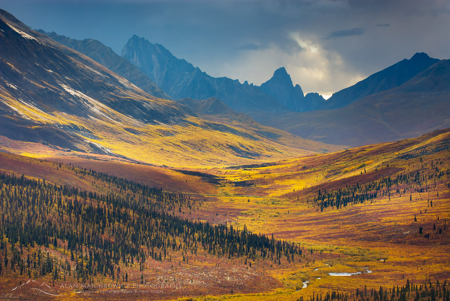 North Klondike River Valley displaying colors of autumn foliage, Tombstone Territorial Park Yukon Canada #15494