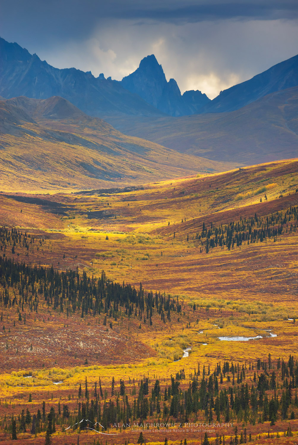 North Klondike River Valley displaying colors of autumn foliage, Tombstone Territorial Park Yukon Canada #15500