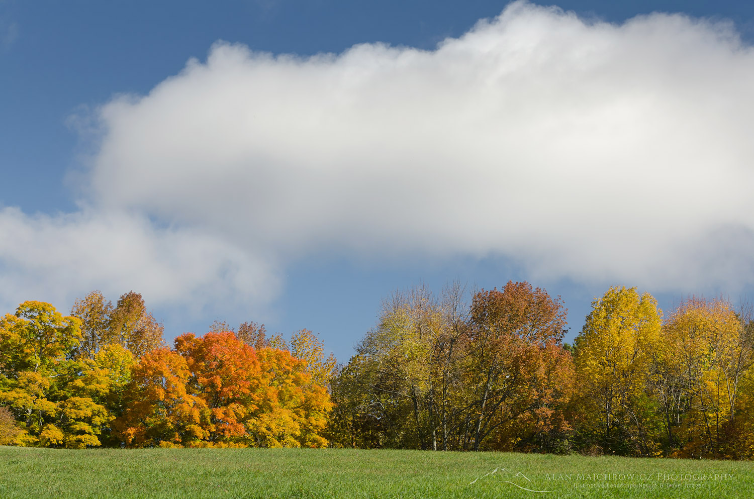 Fall Foliage Vermont #59399