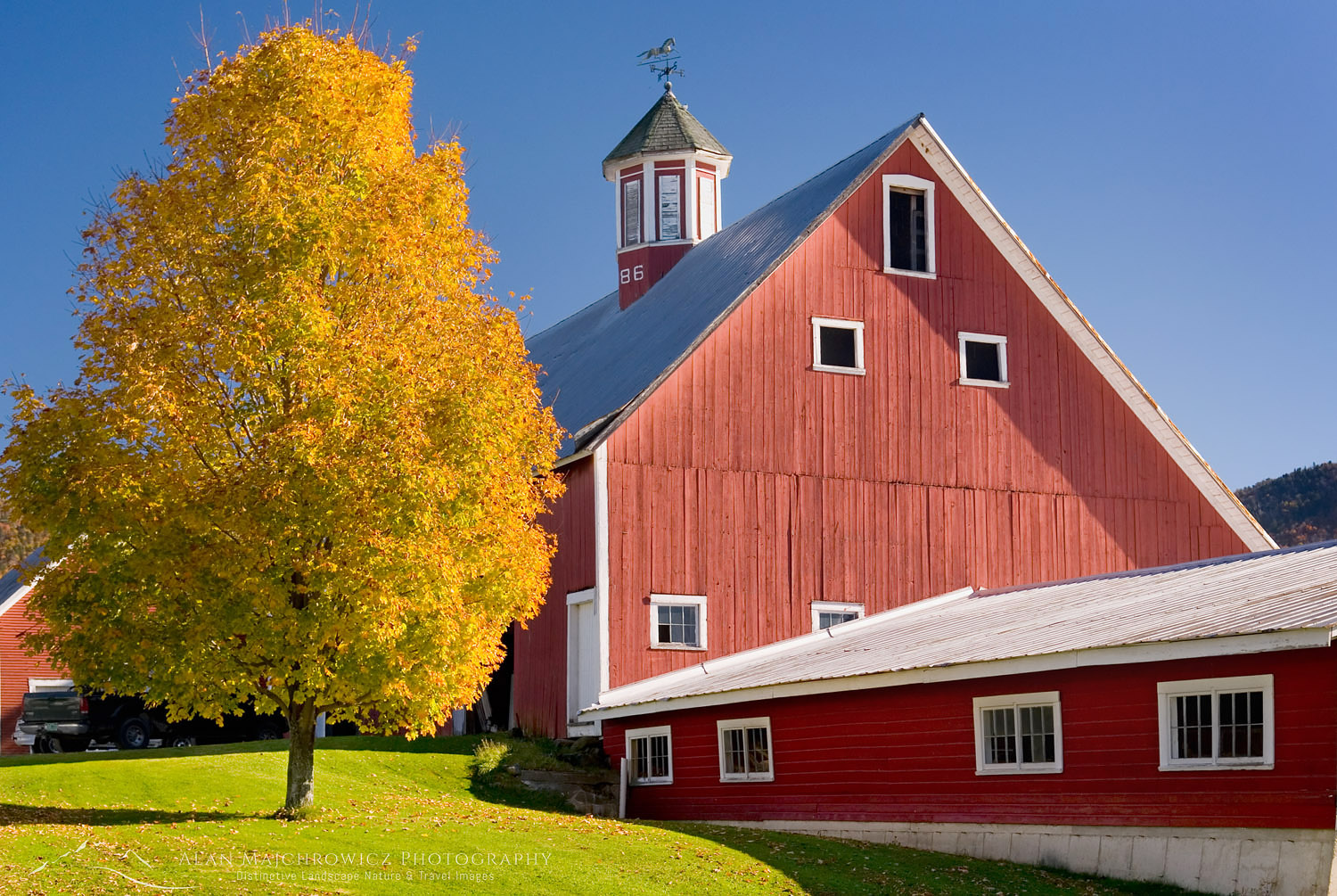 Classic red new England Barn with maple tree in autumn, Vermont #8013