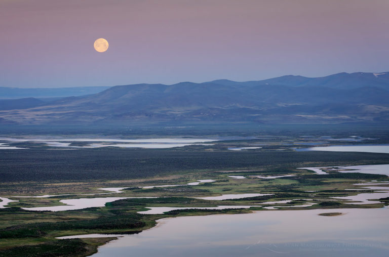 Full moon, Warner Lakes Wetlands, Oregon Alan Majchrowicz Photography