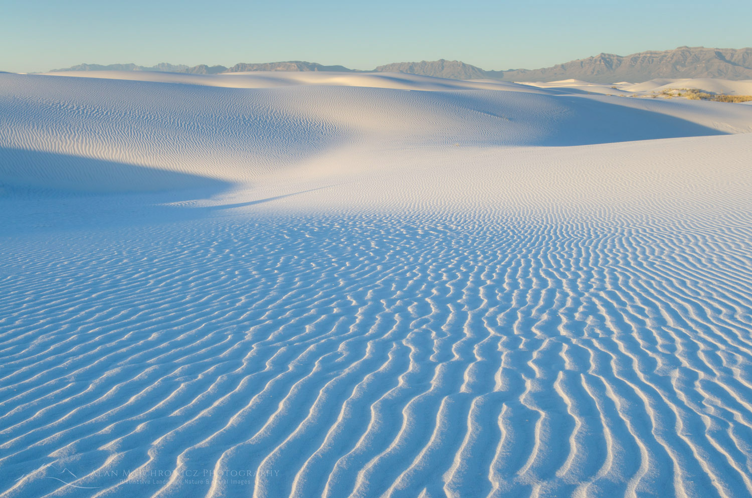 Ripple patterns in gypsum sand dunes, White Sands National Park New Mexico #57034