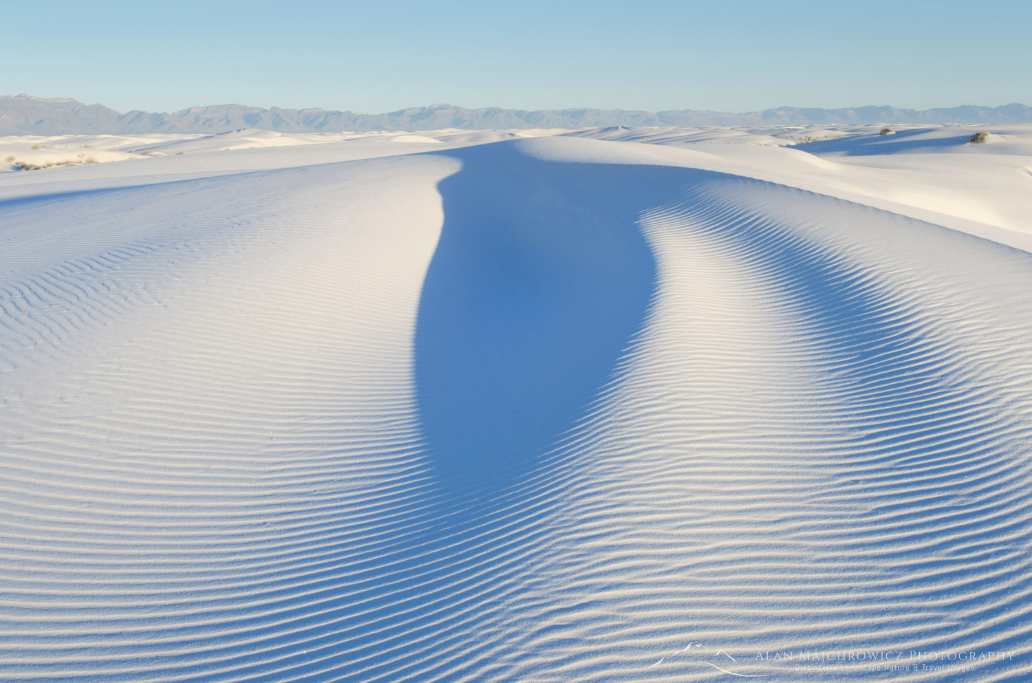 Ripple patterns in gypsum sand dunes, White Sands National Park New Mexico #57046