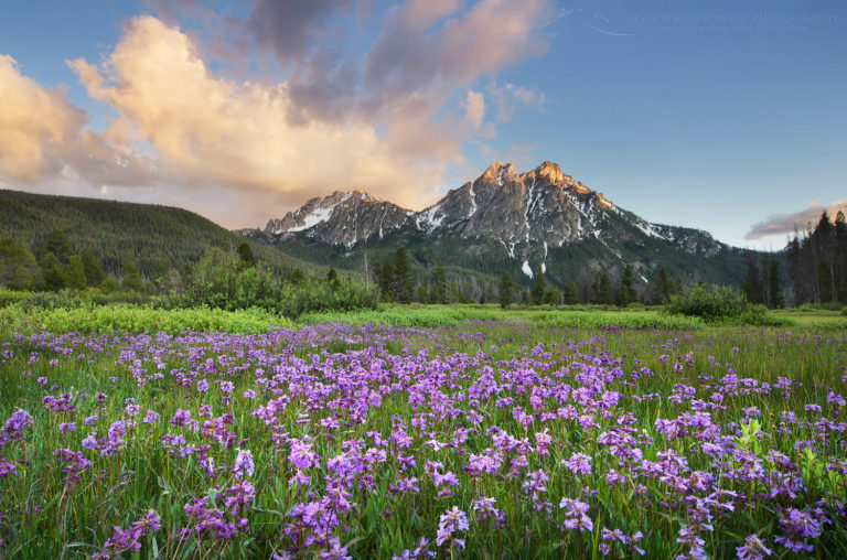 McGown Peak Sawtooth Mountains, Idaho Alan Majchrowicz