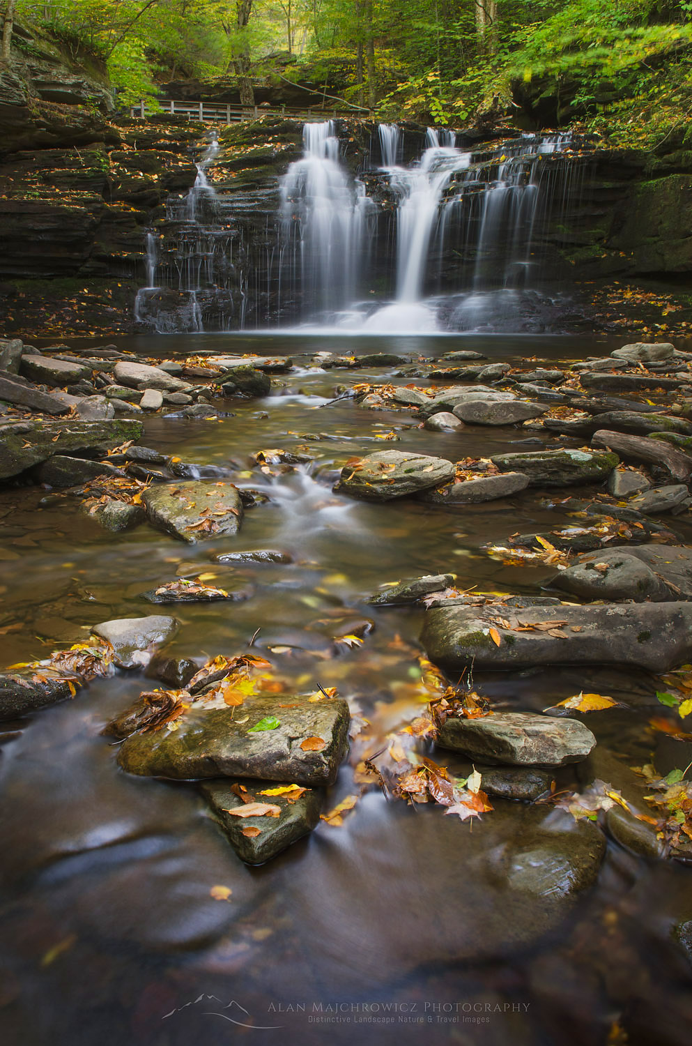 Wyandot Falls, Ricketts Glen State Park, Pennsylvania #59580